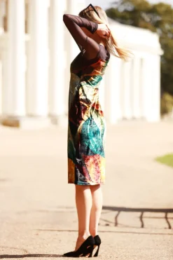 From My Mother's Garden Autumn Abstract Velvet Fitted Dress